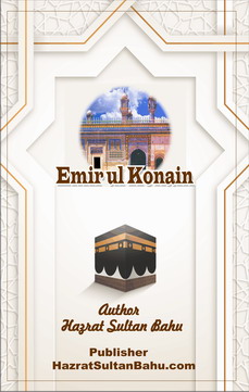 Amerul konan Amerul konan